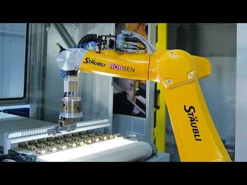 IROCUBE MS60L // Final Testing Before FAT Vision Guided Robotic Tending Cell