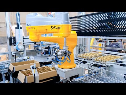 Final Control And Packaging Machine